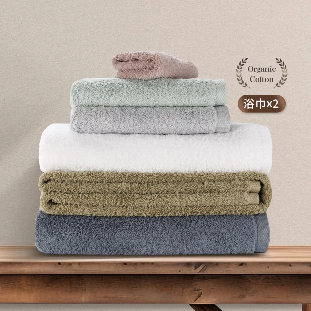 五星級御用羽之棉枕 2入 精緻嚴選素材 台灣製造 歷史價格詳細信息