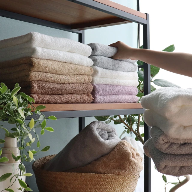 【日本桃雪】日本製原裝進口SEK抗菌防臭運動大毛巾(鈴木太太公司貨) 歷史價格詳細信息