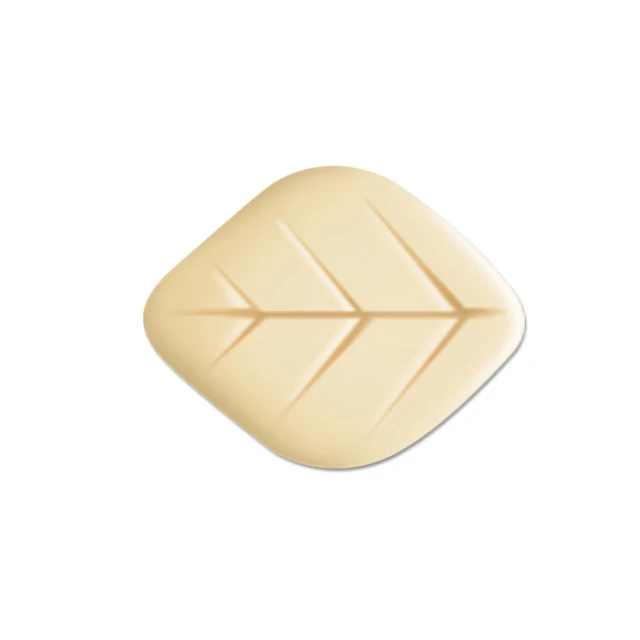 Fit Vitae羋恬家居 可拆式耐高溫不銹鋼醬料矽膠油刷(大小雙入組) 歷史價格詳細信息