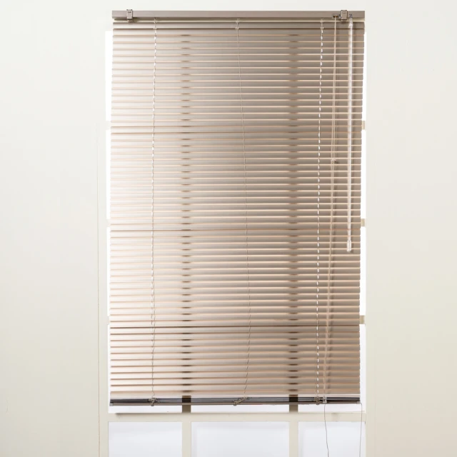 特力屋 鋁百葉窗 香檳 寬135x高185cm 歷史價格詳細信息