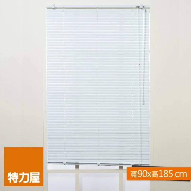 特力屋 鋁百葉窗 白色 寬165x高185cm 歷史價格詳細信息