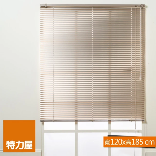 特力屋 鋁百葉窗 香檳 寬135x高185cm 歷史價格詳細信息