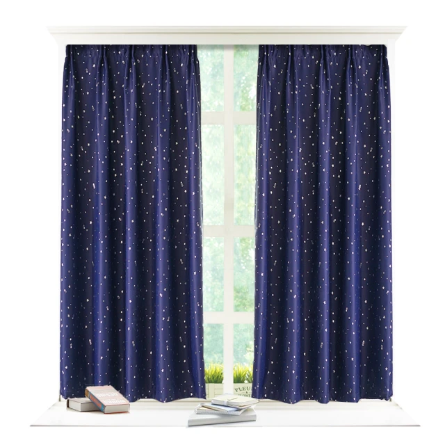 【小銅板】田園小鳥系列遮光窗簾(寬100X高180-2片入-總寬200cm) 歷史價格詳細信息