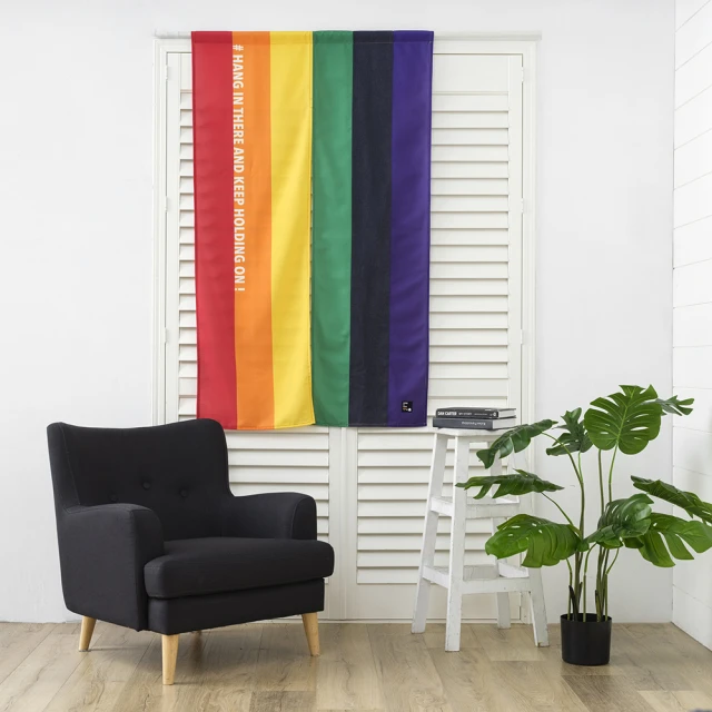 【HOLA】Rainbow系列波比刮泥墊42x77 歷史價格詳細信息