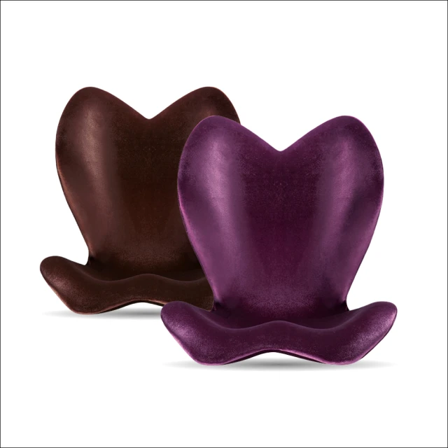 《健康，自脊來》＋《好姿勢，救自脊》：「強背健脊二部曲」限量超值套書 /鄭雲龍，邱淑宜 歷史價格詳細信息