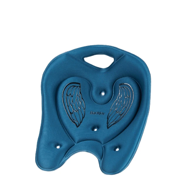 【BackJoy貝樂宜】美姿救星 黑瑪瑙 歷史價格詳細信息