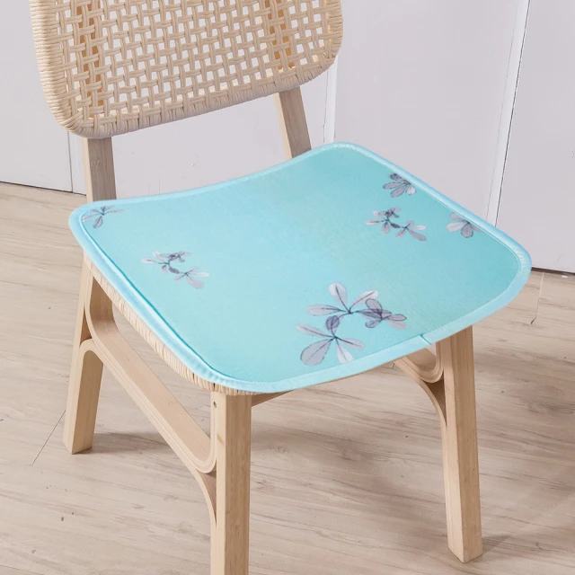 AIRFit氧活力涼感支撐空氣座墊12mm-1人座 歷史價格詳細信息