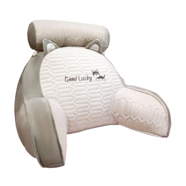 腰枕床上腰墊人體工學腰椎平躺睡覺神器墊腰腰突靠腰護腰睡眠腰託 歷史價格詳細信息