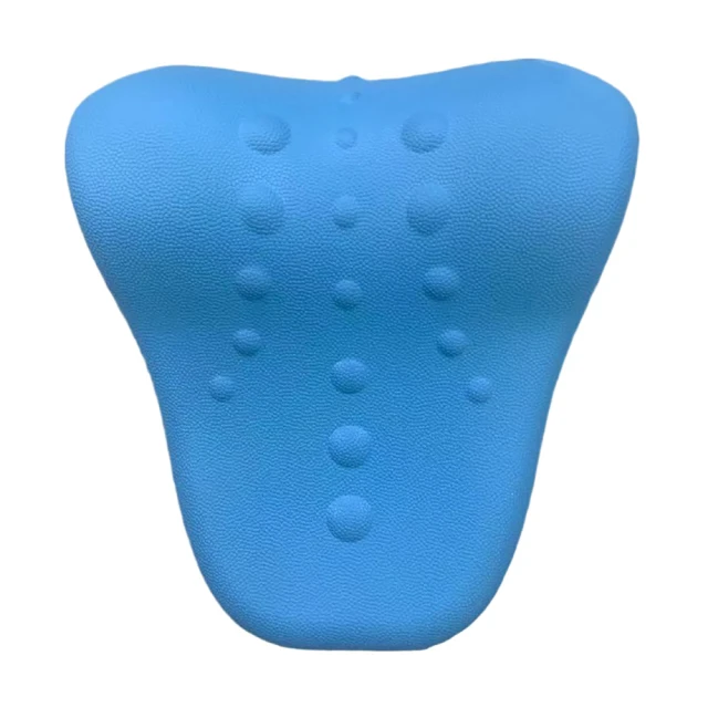 巧可  絞肉機110v電動絞肉機小型不銹鋼多功能自動餃餡碎肉灌腸機 歷史價格詳細信息