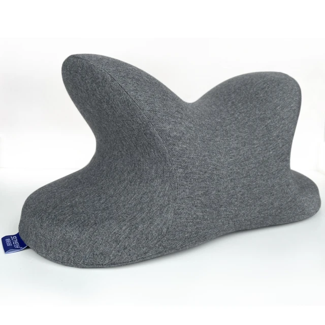 人體工學記憶午睡枕 趴睡枕 可拆洗 慢回彈 單入/二入/四入超值組 免運費 現貨 廠商直送 歷史價格詳細信息