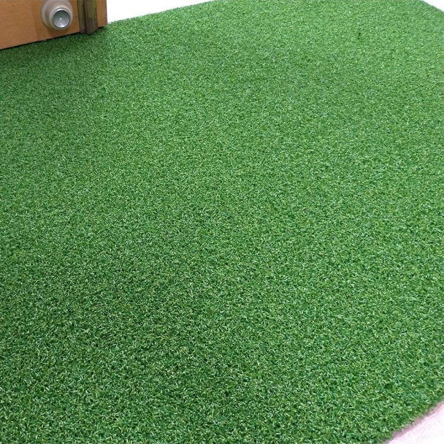 【范登伯格】草地皮 人工草皮100x200cm(完美草高 戶外室內皆可用) 歷史價格詳細信息