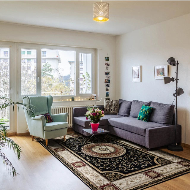 【SDL Home 山德力】新古典羊毛地毯 250x380cm 藍雪(藍色系 立體雕花 大尺寸) 歷史價格詳細信息