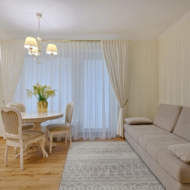 【山德力】夏艷地墊-棕色50x120cm 歷史價格詳細信息