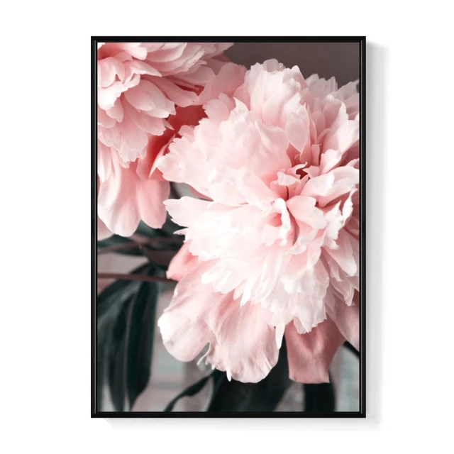 50X70cm 快拆冷光無影罩組 歷史價格詳細信息