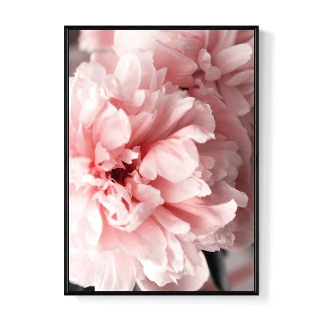 50X70cm 快拆冷光無影罩組 歷史價格詳細信息