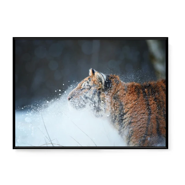 【虎吉】今天，就過喜歡的日子:布蘭達＆維尼一步步實現心靈與物質自由全紀錄/布蘭達＆維尼 五車商城(03/29出版) 歷史價格詳細信息