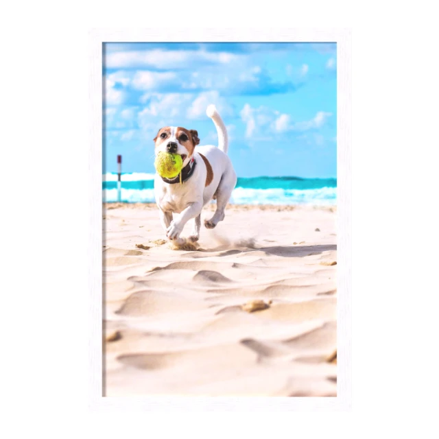 TRENY白鐵鐵線-24#(5M)-6入 歷史價格詳細信息