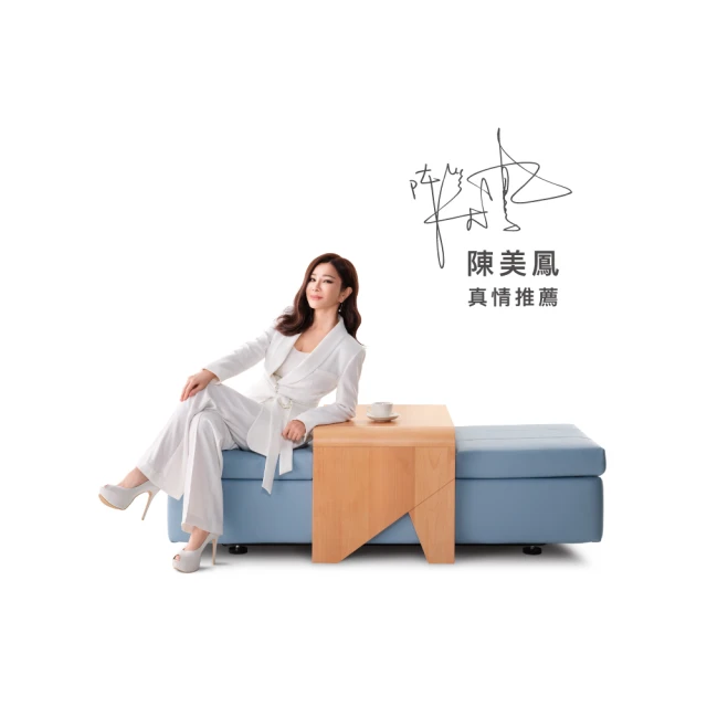 bgreen 運動養生椅 BR1  科技皮 歷史價格詳細信息