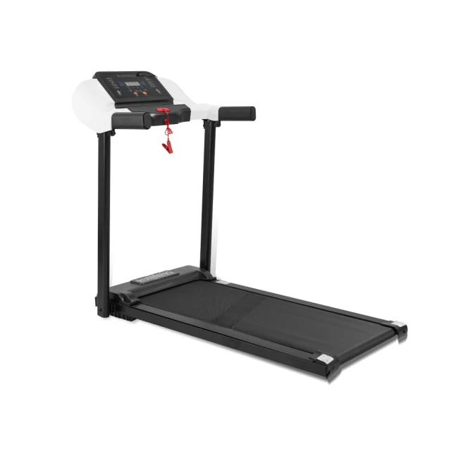 【T-God 太昇健康】美體雕塑魔力律動機 歷史價格詳細信息