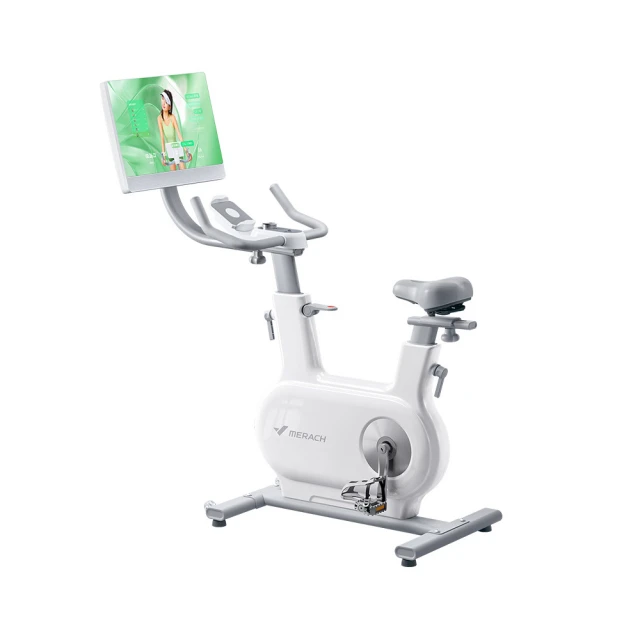 動感單車鋁合金皮帶傳動輪改裝件健身車配件腳踏中輪皮帶盤配件 歷史價格詳細信息