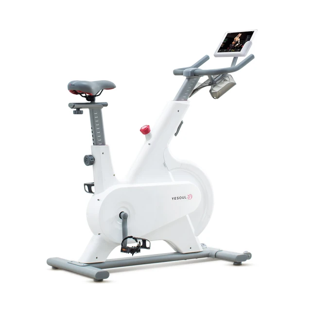 【X-BIKE晨昌】YESOUL 野小獸 靜音智能折疊美學跑步機 機車制動 PH5【贈一個月免費課程】 歷史價格詳細信息