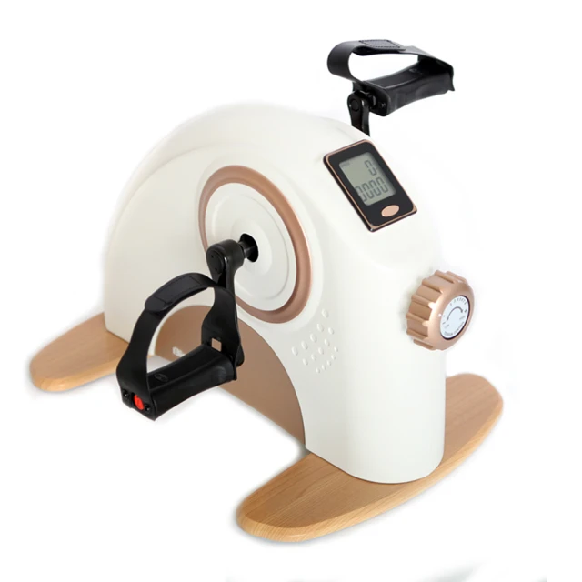 手足兩用健身器(健身車/室內腳踏車/腿部訓練器/踏步機/健走機) 歷史價格詳細信息