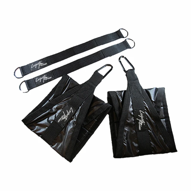 LEXPORTS 重量訓練臥推助力帶(臥推彈弓/伏地挺身/握推輔助) 歷史價格詳細信息