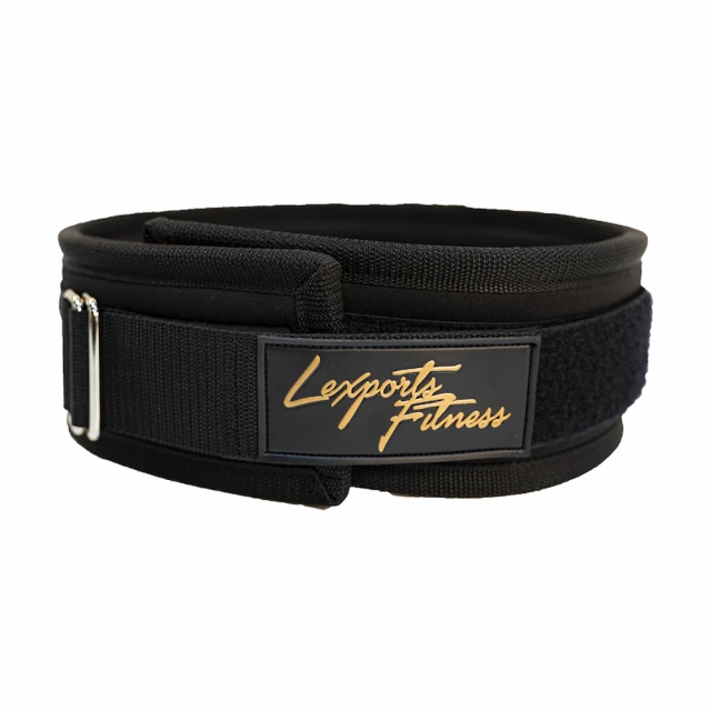 LEXPORTS 勵動風潮 / 專業級重磅健身高拉力帶 / 健身輔助拉帶 / 重訓助握帶 / 健身助力帶 歷史價格詳細信息