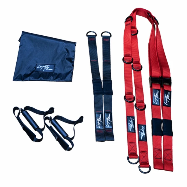 【LEXPORTS 勵動風潮】阻力懸吊訓練繩-雙錨點系統 / 專業版PRO(懸吊系統 雙錨 核心訓練 健身 重訓 舉重) 歷史價格詳細信息