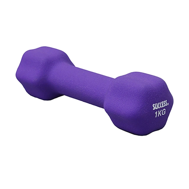 SUCCESS 成功 防滑塑身啞鈴-藍(2kg)S5212(1入)【小三美日】D552122 歷史價格詳細信息