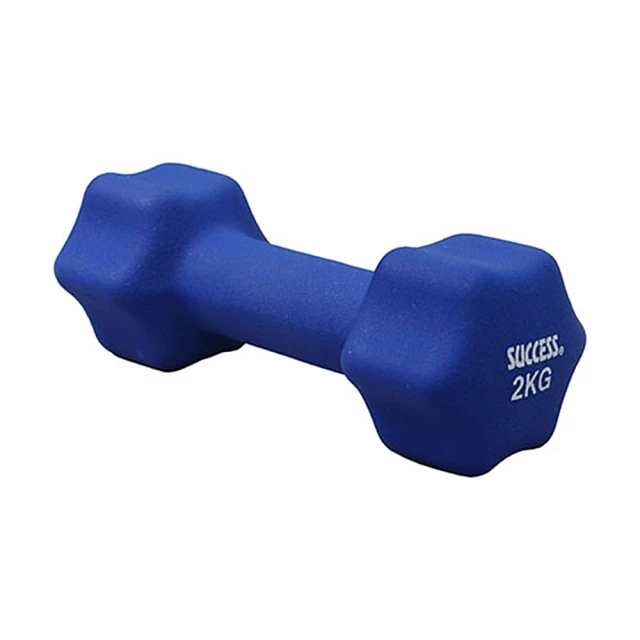 成功SUCCESS #2軟式比賽躲避球 S1421 加贈手打打氣筒 歷史價格詳細信息