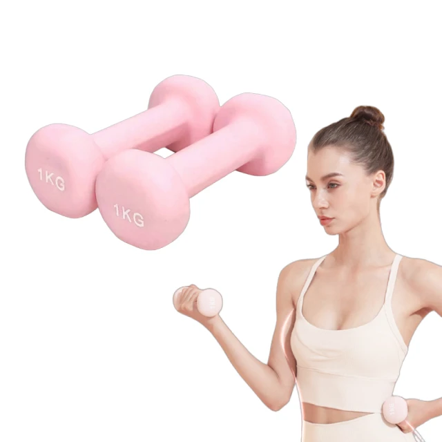 韻律運動啞鈴『0.5kg』(一對) 042301 歷史價格詳細信息