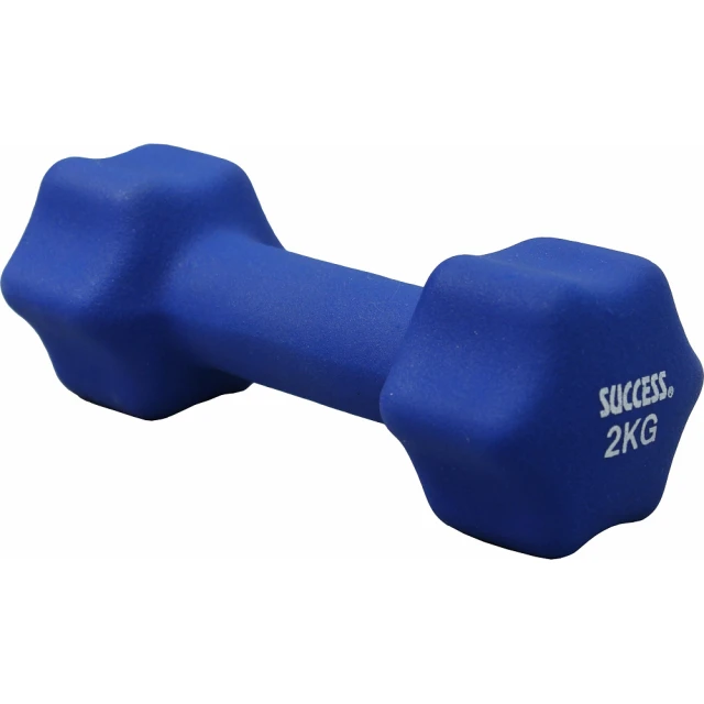 成功 防滑塑身啞鈴2kg-(1入) 歷史價格詳細信息