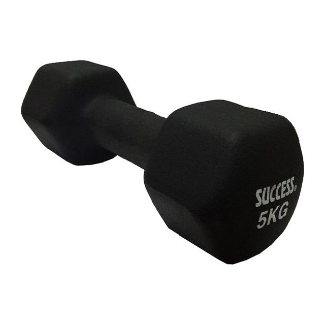 SUCCESS 成功 防滑塑身啞鈴-藍(2kg)S5212(1入)【小三美日】D552122 歷史價格詳細信息