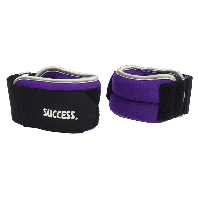 成功牌腳踝沙包2KG(手腕/負重沙袋/重力綁腿/綁腳/手沙包/success) 歷史價格詳細信息