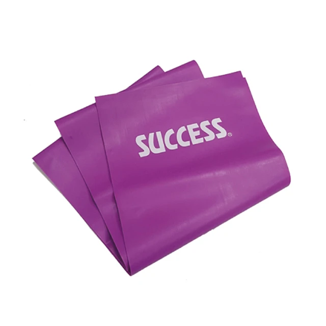 成功 S4716 超軟安全飛盤 環保飛盤 寵物飛盤 [環保無毒安全] 歷史價格詳細信息