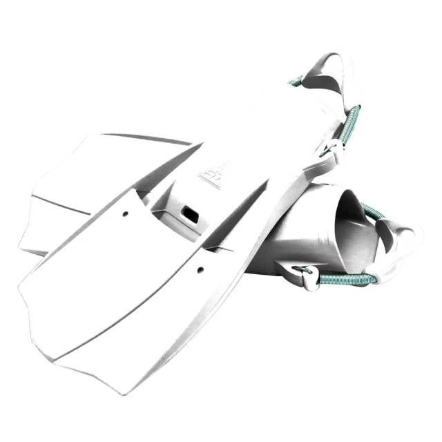 Aquatec WS-700 水下石板 寫字板(不鏽鋼夾具+指北針) 歷史價格詳細信息