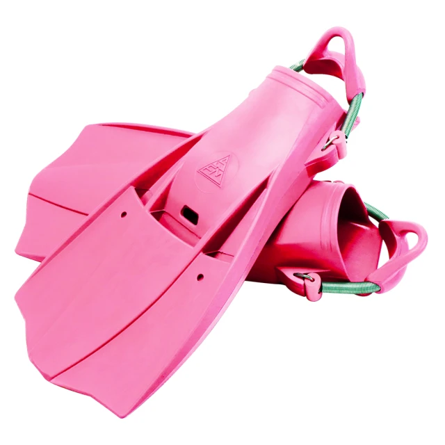 Aquatec WS-700 水下石板 寫字板(不鏽鋼夾具+指北針) 歷史價格詳細信息