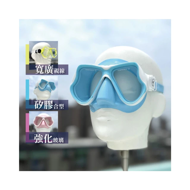 【ButterflyFish 蝴蝶魚】5-15歲兒童浮潛呼吸管(矽膠製無異味 可替換咬嘴 SNCS2401) 歷史價格詳細信息