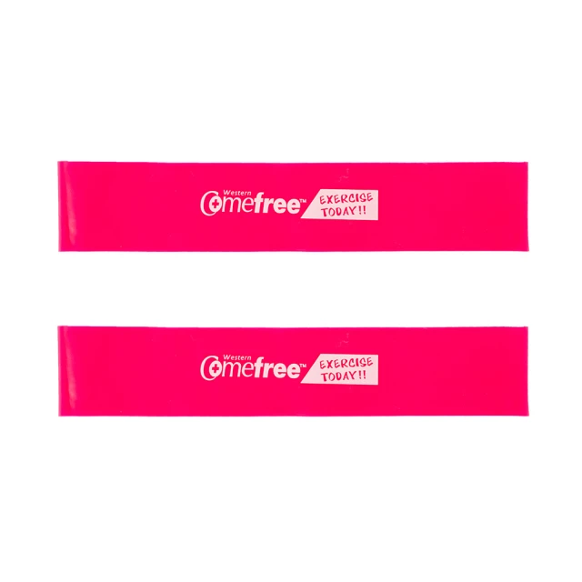 肌力與伸展動作詳解：人體解剖全書附冊 歷史價格詳細信息