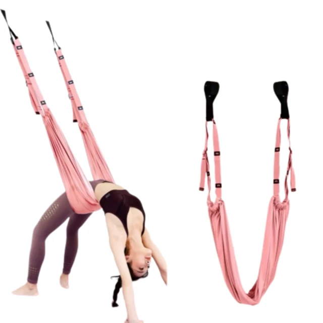 瑜伽空中吊繩健身房訓練舞蹈室內伸展承重懸掛活力設備腰帶 歷史價格詳細信息