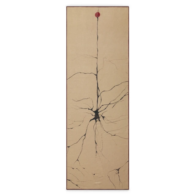 【Manduka】Yogitoes 2.0 瑜珈舖巾 - Aquatic 歷史價格詳細信息