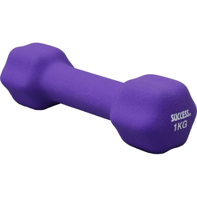 成功 防滑塑身啞鈴2kg-(1入) 歷史價格詳細信息