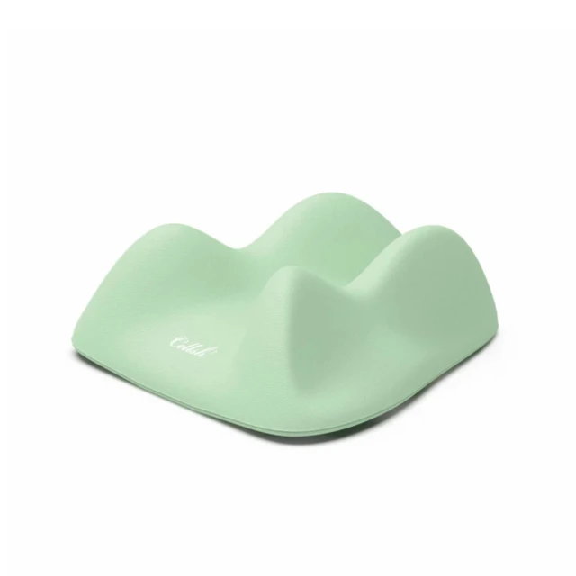 【NEEDS】ECO法蘭絨鋁箔發熱枕頭墊 一入(保潔墊 枕套 枕片 枕墊 枕頭套) 歷史價格詳細信息