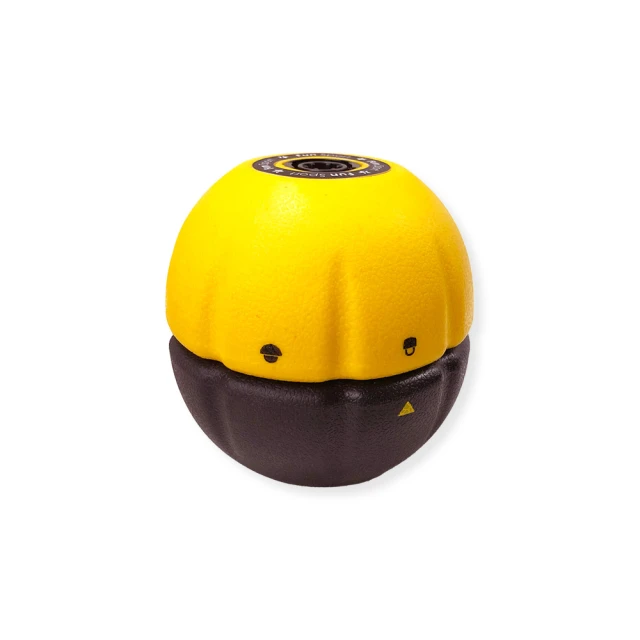 《Fun Sport》LaVega樂亦康運動護牙套-台製（2個）(白/黑/透) 歷史價格詳細信息