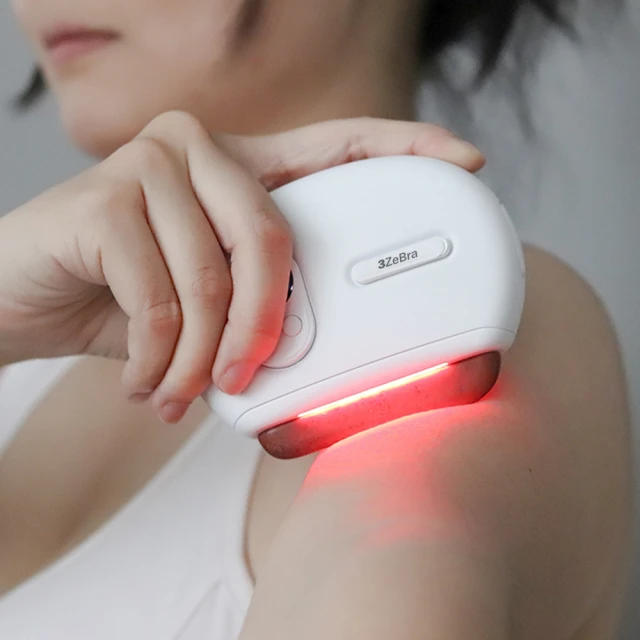 【3ZeBra】微電腦控溫SPA泡腳機 早安健康嚴選 歷史價格詳細信息