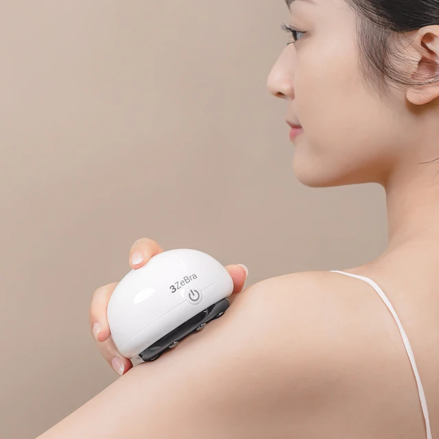 【3ZeBra】微電腦控溫SPA泡腳機 歷史價格詳細信息