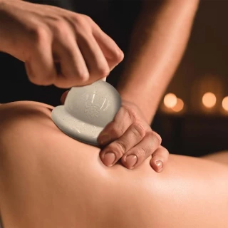 飛雪涼 原味特強口含片錠狀食品(21錠) 歷史價格詳細信息