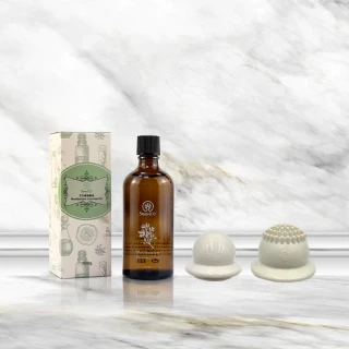 飛雪涼 原味特強口含片錠狀食品(21錠) 歷史價格詳細信息