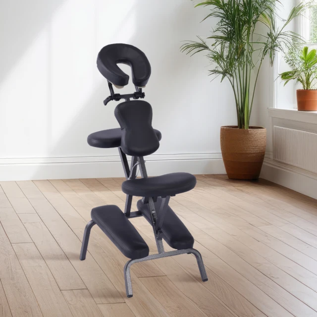 E-home Brio布立歐扶手半網可調式電腦椅-兩色可選 歷史價格詳細信息